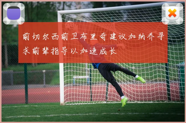 前切尔西前卫布里奇建议加纳乔寻求前辈指导以加速成长