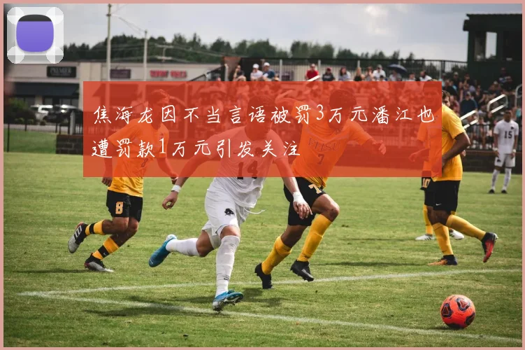 焦海龙因不当言语被罚3万元潘江也遭罚款1万元引发关注